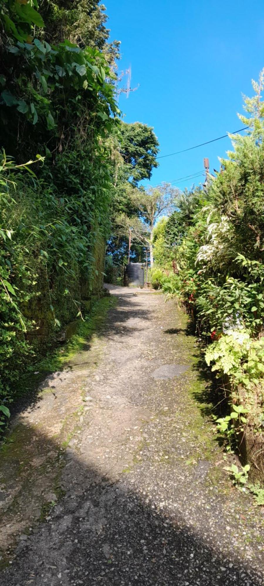 Seven Hills Homestay Kalimpong Phòng bức ảnh